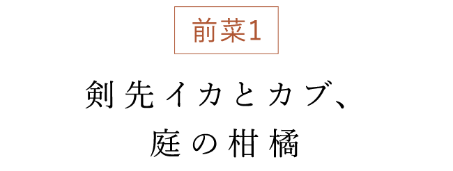 剣先イカとカブ、庭の柑橘